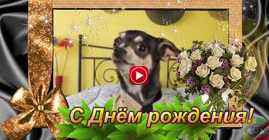 С ДНЁМ Рождения! Шикарная песня! Самое 