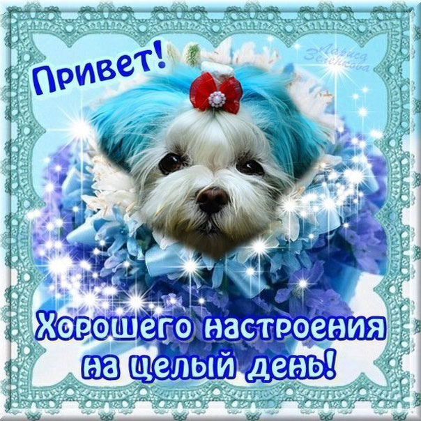 💌☀️😄 Картинки Хорошего дня