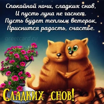 Идеи на тему «Спокойной ночи + любовь 🥳» 10 