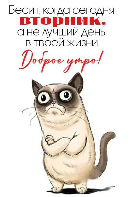 💕💕💕С Добрым Утром!💕💕💕 ПРИВЕТ, вторник! УДАЧНОГО ДНЯ и 