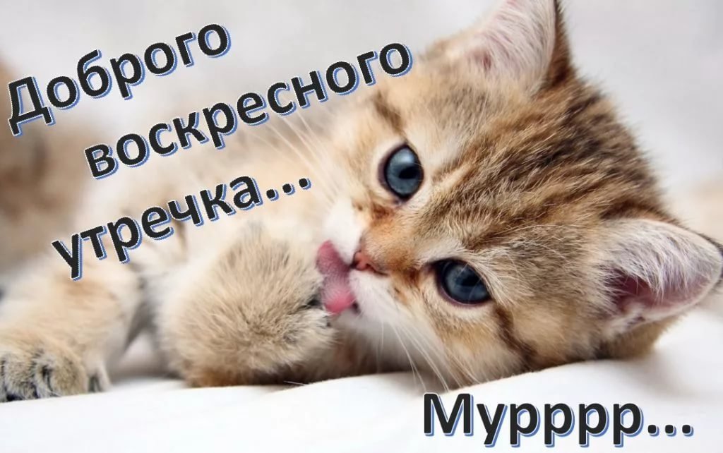 Доброе утро