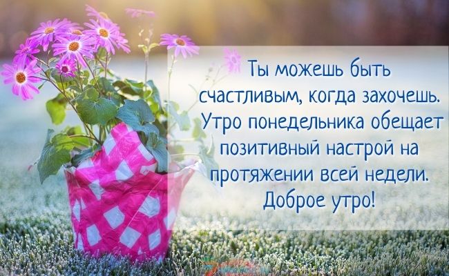 Доброе утро понедельника хорошей недели