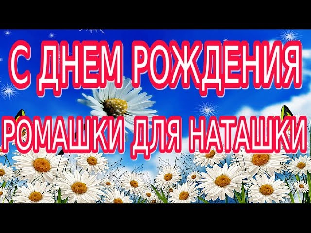 Купить Открытка 