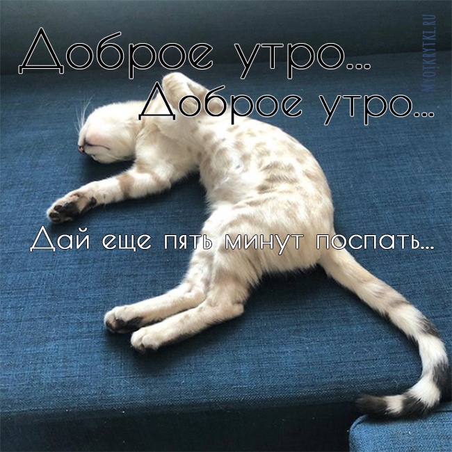 Доброе утро