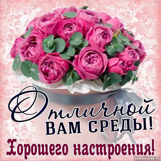 🌞 Замечательной среды ! 🌺 