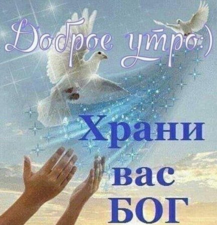 💓Желаю мира и добра!🌞🕊Доброго утра благословенного дня 