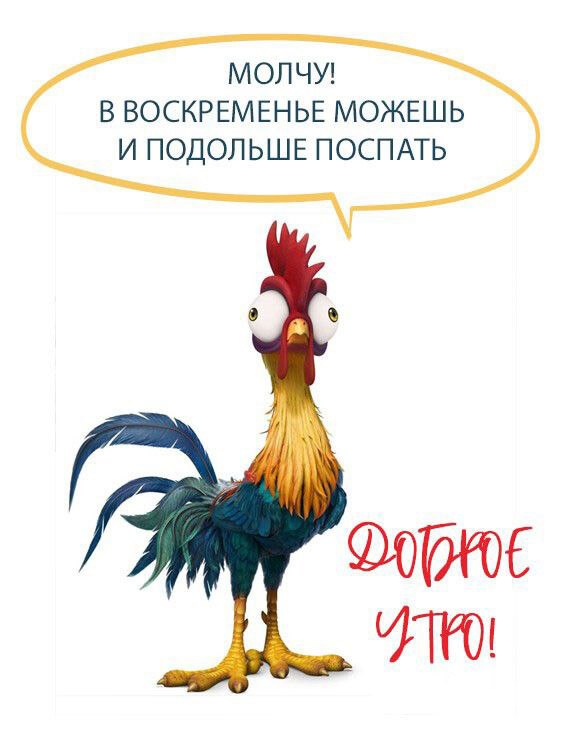 🍂Доброе утро! Сегодня 24 октября, воскресенье 📆 День ООН 