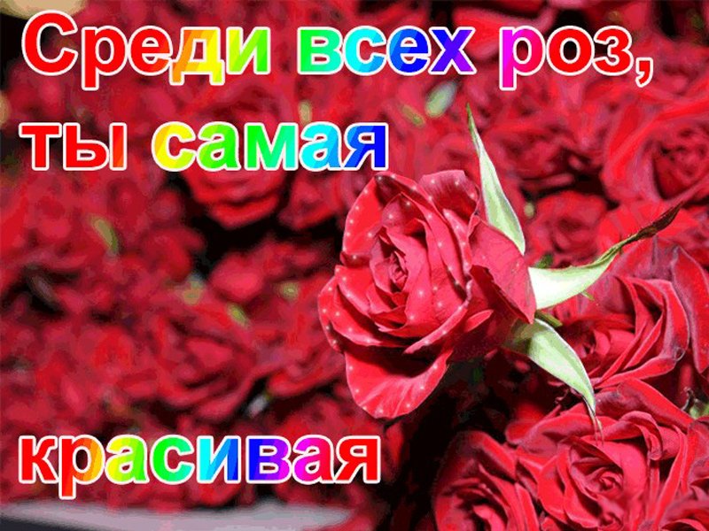 Жена моя самая любимая, Желанная 