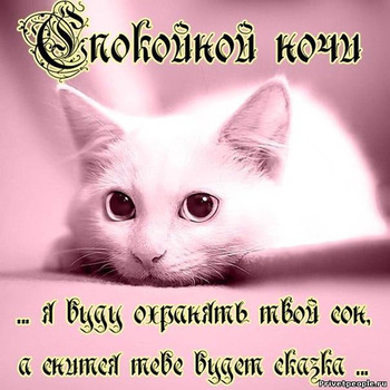 любимому #спокойнойночи #р❤️е❤️к❤️о❤️м❤️е❤️н❤️д 