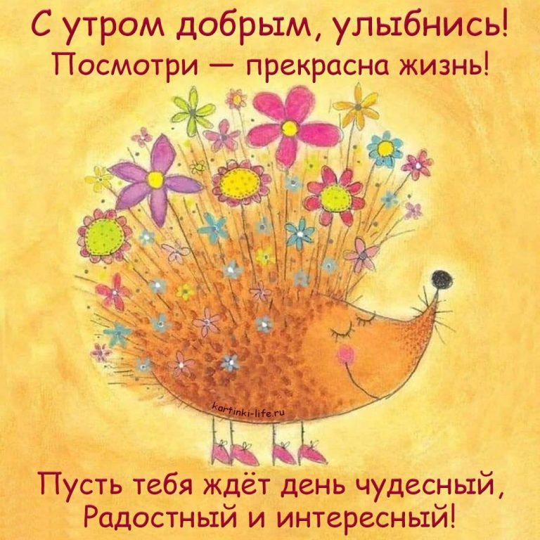 Позитивные картинки Доброе утро 😄 👇