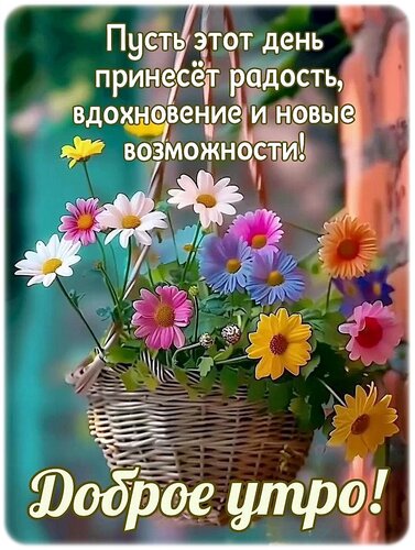 Зимнее доброе утро вам друзья #зима #новыйгод #счастье #дом 