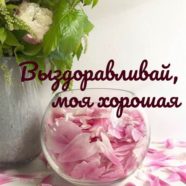 выздоравливай 