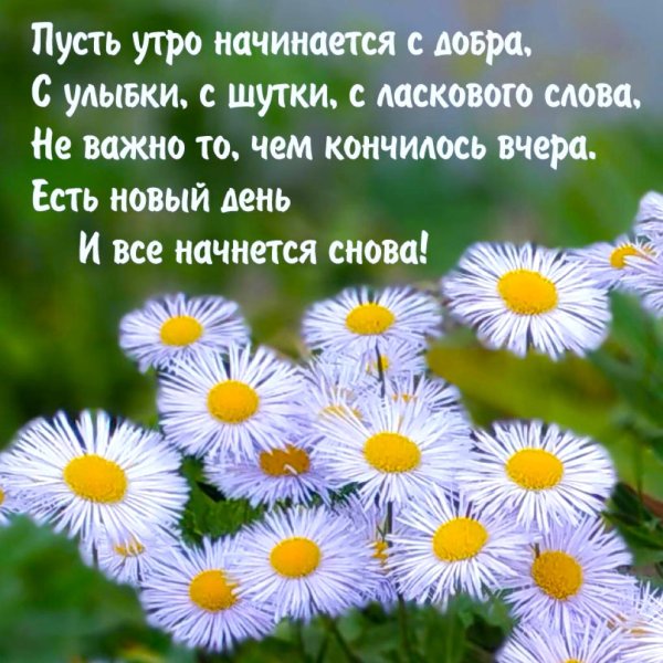 🌈Доброе утро!🌻💐💦 📖Стих на сегодня 