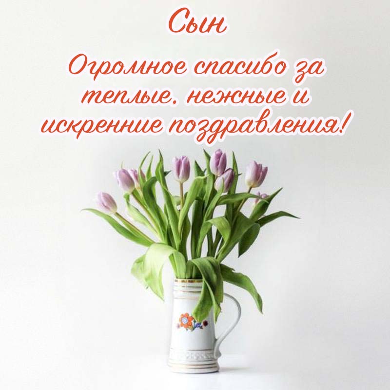 Открытка С днём сыновей! Сынок, в день сыновей желаю тебе 