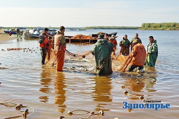 День Рыбака Поздравления 