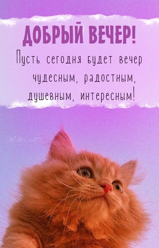 ВЕЧЕР ДОБРЫЙ! — открытки очень 