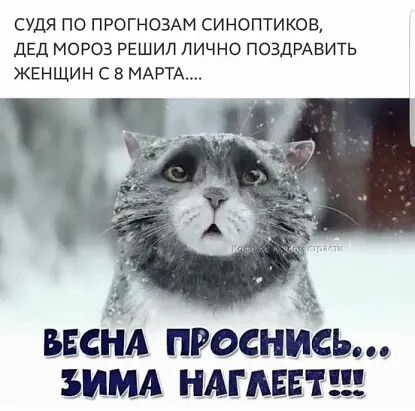 Весенняя Мода С Тиснением Проснись 