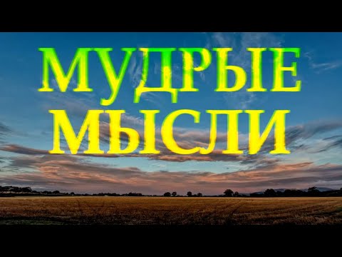 Мудрые слова и видео цитаты о жизни 