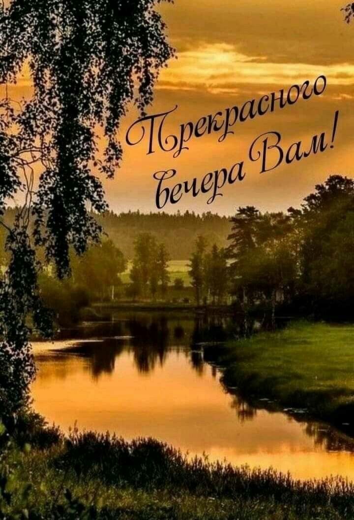 Добрый вечер, отличного настроения 💞💞🤗👋👋