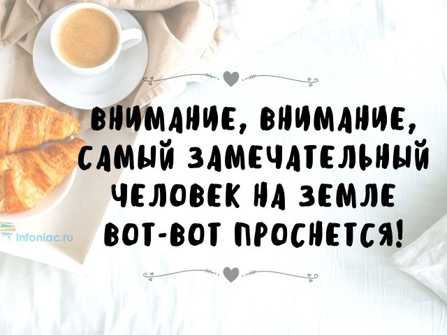 Доброе утро /Good morning