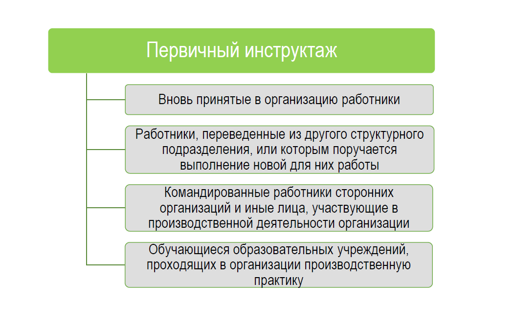 Вводный инструктаж по охране труда 2024 