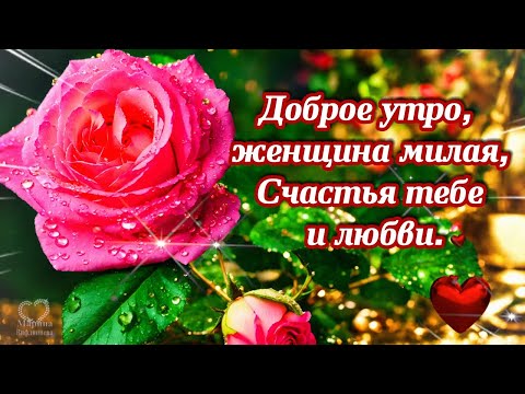 Открытки доброе утро женщине красивые прикольные 