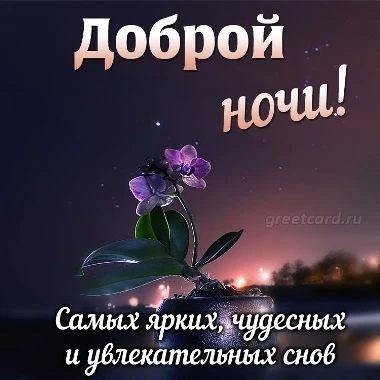 СПОКОЙНОЙ НОЧИ