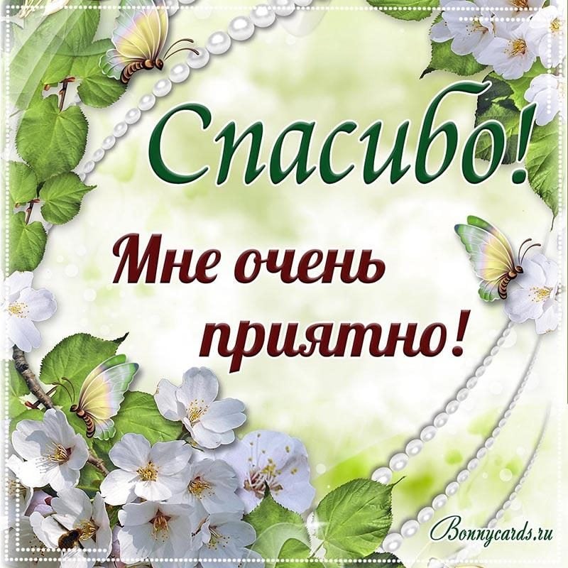 Акция к дню спасибо «Поблагодари ближнего своего»