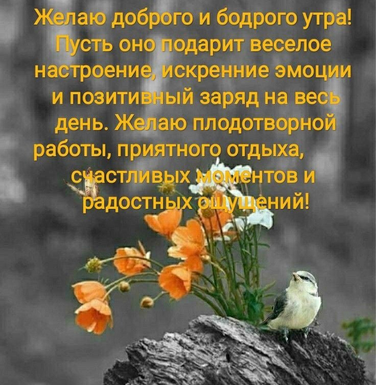 Цитаты о утро 530 цитат 