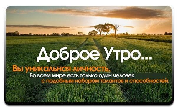 Шоу Утро России фото, видео, описание выпусков