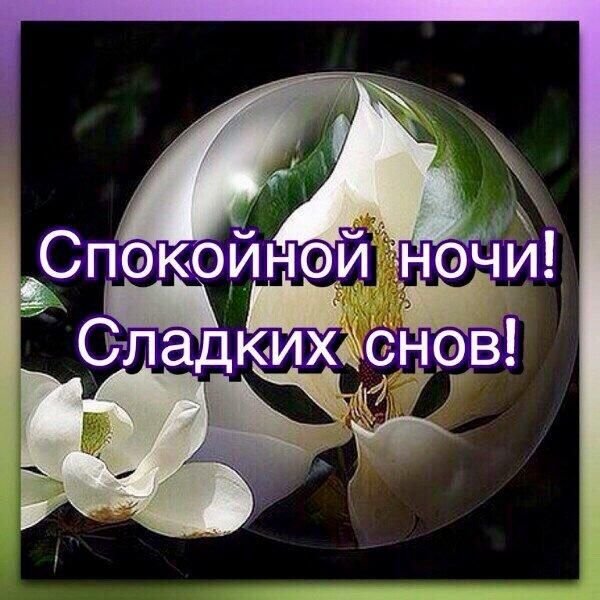 🕊🌛⭐ Доброй ночи, ведь