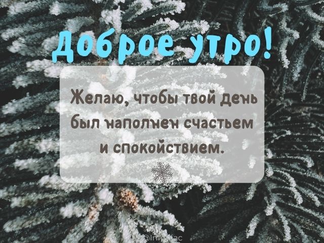 Доброе утро картинки с котиками и собаками