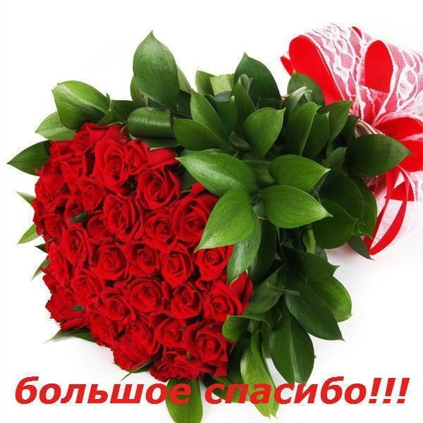 спасибо#💋 #💐 