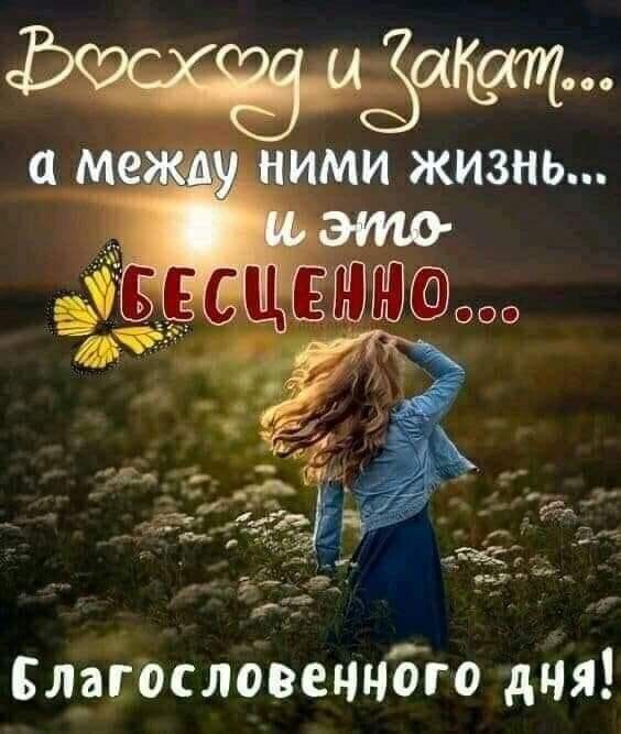 🤲✨❤️Благословенного утра добрые люди 