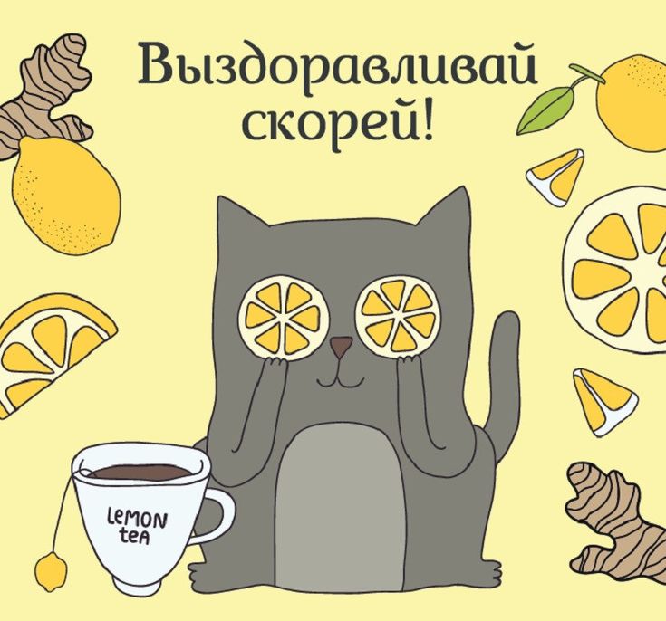 Котоматрица