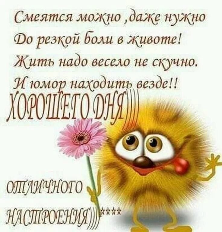 🌹Доброго Дня Отличного Настроения! Открытки Добрый День 