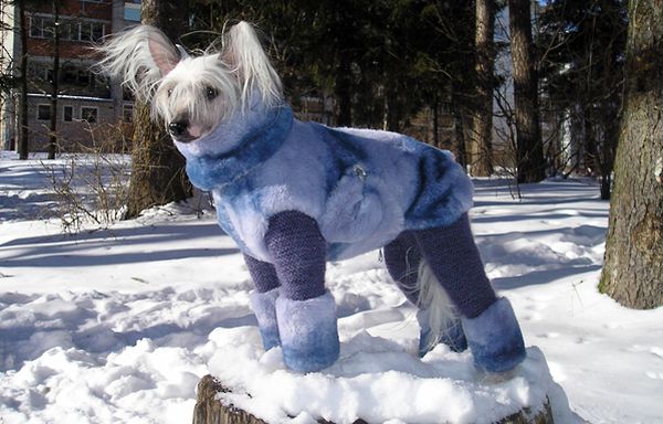 Холод собачий 🥶 Одевайтесь потеплей 