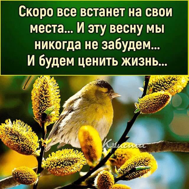 Сима على X