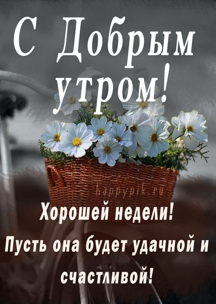 С добрым утром ,девчули ! с началом трудовой недели 