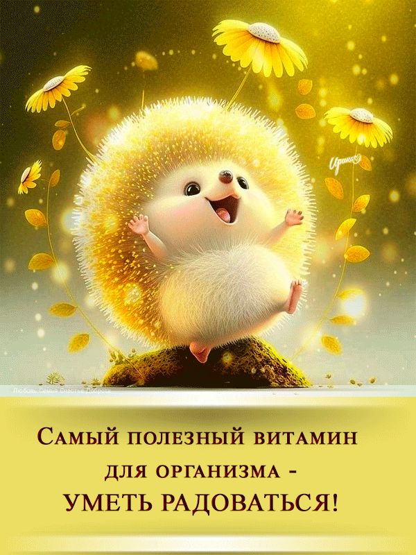 🧣Доброе утро! Сегодня 23 декабря 