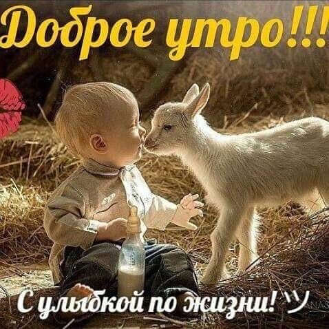 Доброе утро, зима