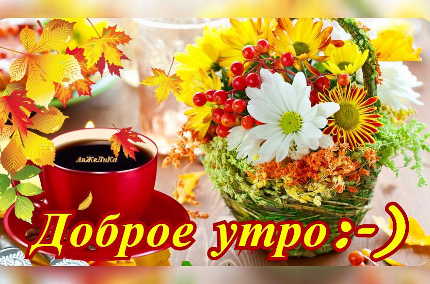 Открытка Доброе утро! Удачного дня, и 