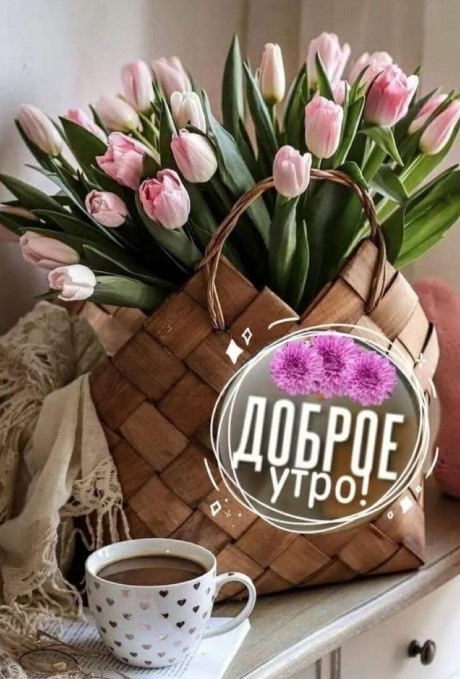 Доброе утро родные мои!! 🤗🌞 Сегодня для Вас тюльпаны 