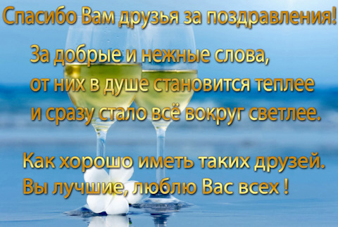 Спасибо вам, друзья и гости!