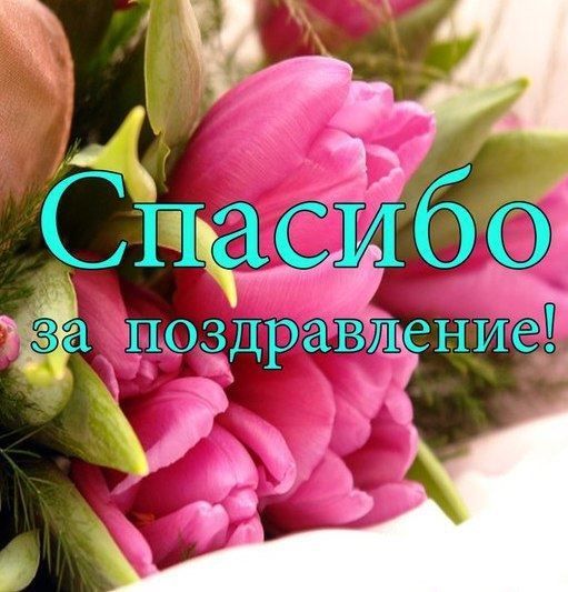 Картинки спасибо за поздравления 50 