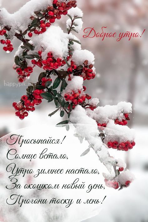 🌞🎄доброе утречко хорошего дня💗Желаю 