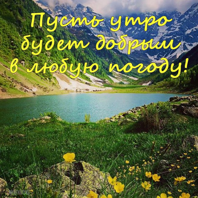 🌻🌸😊Доброе утро! Классного настроения в любую погоду 