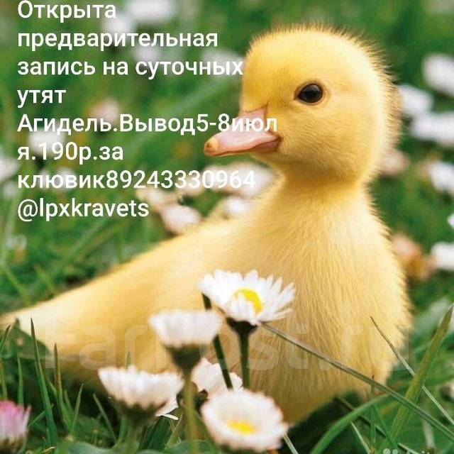 Ответы Mail