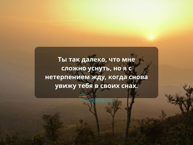 Красивые слова благодарности в прозе, стихах и картинках — УНИАН