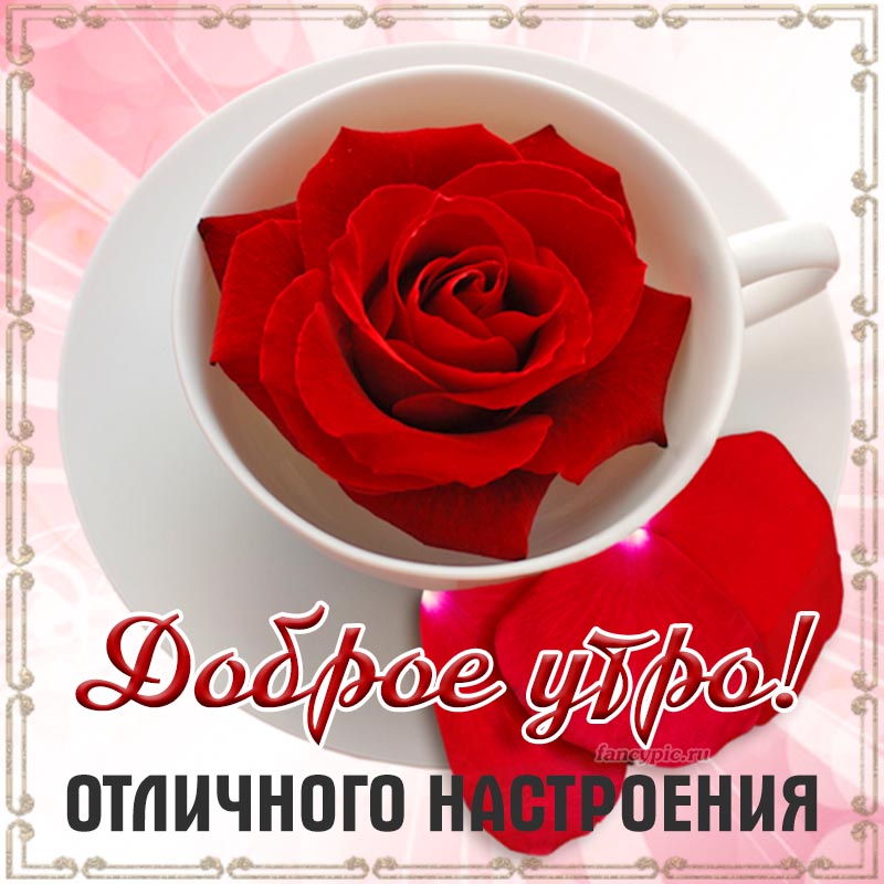 Доброе утро, доченька! ❤️ 